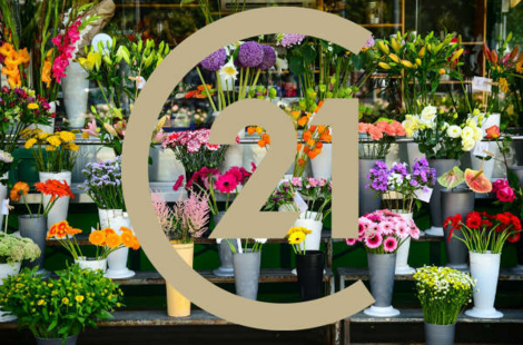 Vente Fleuriste LA BAULE-ESCOUBLAC